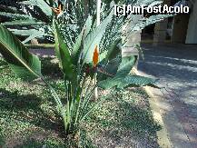 [P15] Statiunea Larnaka - Lordos Beach Hotel, in fata intrarii. » foto by iulianic
 - 
<span class="allrVoted glyphicon glyphicon-heart hidden" id="av276063"></span>
<a class="m-l-10 hidden" id="sv276063" onclick="voting_Foto_DelVot(,276063,8732)" role="button">șterge vot <span class="glyphicon glyphicon-remove"></span></a>
<a id="v9276063" class=" c-red"  onclick="voting_Foto_SetVot(276063)" role="button"><span class="glyphicon glyphicon-heart-empty"></span> <b>LIKE</b> = Votează poza</a> <img class="hidden"  id="f276063W9" src="/imagini/loader.gif" border="0" /><span class="AjErrMes hidden" id="e276063ErM"></span>