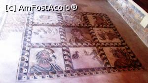 [P54] Cele 4 anotimpuri; casa lui Dionysos » foto by crismis
 - 
<span class="allrVoted glyphicon glyphicon-heart hidden" id="av716406"></span>
<a class="m-l-10 hidden" id="sv716406" onclick="voting_Foto_DelVot(,716406,8732)" role="button">șterge vot <span class="glyphicon glyphicon-remove"></span></a>
<a id="v9716406" class=" c-red"  onclick="voting_Foto_SetVot(716406)" role="button"><span class="glyphicon glyphicon-heart-empty"></span> <b>LIKE</b> = Votează poza</a> <img class="hidden"  id="f716406W9" src="/imagini/loader.gif" border="0" /><span class="AjErrMes hidden" id="e716406ErM"></span>