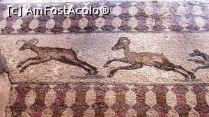 [P63] Casa lui Dionysos; scenă de vânătoare » foto by crismis
 - 
<span class="allrVoted glyphicon glyphicon-heart hidden" id="av716415"></span>
<a class="m-l-10 hidden" id="sv716415" onclick="voting_Foto_DelVot(,716415,8732)" role="button">șterge vot <span class="glyphicon glyphicon-remove"></span></a>
<a id="v9716415" class=" c-red"  onclick="voting_Foto_SetVot(716415)" role="button"><span class="glyphicon glyphicon-heart-empty"></span> <b>LIKE</b> = Votează poza</a> <img class="hidden"  id="f716415W9" src="/imagini/loader.gif" border="0" /><span class="AjErrMes hidden" id="e716415ErM"></span>