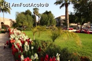 [P50] Flori...  » foto by DOINITA
 - 
<span class="allrVoted glyphicon glyphicon-heart hidden" id="av965872"></span>
<a class="m-l-10 hidden" id="sv965872" onclick="voting_Foto_DelVot(,965872,8732)" role="button">șterge vot <span class="glyphicon glyphicon-remove"></span></a>
<a id="v9965872" class=" c-red"  onclick="voting_Foto_SetVot(965872)" role="button"><span class="glyphicon glyphicon-heart-empty"></span> <b>LIKE</b> = Votează poza</a> <img class="hidden"  id="f965872W9" src="/imagini/loader.gif" border="0" /><span class="AjErrMes hidden" id="e965872ErM"></span>