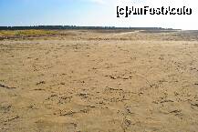 [P08] Lac sarat secat langa Ladies Beach, loc bun pentru drifting » foto by crosbyx*
 - 
<span class="allrVoted glyphicon glyphicon-heart hidden" id="av235567"></span>
<a class="m-l-10 hidden" id="sv235567" onclick="voting_Foto_DelVot(,235567,8732)" role="button">șterge vot <span class="glyphicon glyphicon-remove"></span></a>
<a id="v9235567" class=" c-red"  onclick="voting_Foto_SetVot(235567)" role="button"><span class="glyphicon glyphicon-heart-empty"></span> <b>LIKE</b> = Votează poza</a> <img class="hidden"  id="f235567W9" src="/imagini/loader.gif" border="0" /><span class="AjErrMes hidden" id="e235567ErM"></span>