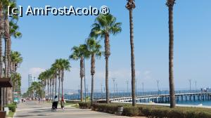 [P30] Faleza din Limassol » foto by Carmen Ion
 - 
<span class="allrVoted glyphicon glyphicon-heart hidden" id="av1474579"></span>
<a class="m-l-10 hidden" id="sv1474579" onclick="voting_Foto_DelVot(,1474579,8732)" role="button">șterge vot <span class="glyphicon glyphicon-remove"></span></a>
<a id="v91474579" class=" c-red"  onclick="voting_Foto_SetVot(1474579)" role="button"><span class="glyphicon glyphicon-heart-empty"></span> <b>LIKE</b> = Votează poza</a> <img class="hidden"  id="f1474579W9" src="/imagini/loader.gif" border="0" /><span class="AjErrMes hidden" id="e1474579ErM"></span>