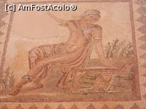 [P06] mosaic narcis » foto by pacala_pm
 - 
<span class="allrVoted glyphicon glyphicon-heart hidden" id="av1120939"></span>
<a class="m-l-10 hidden" id="sv1120939" onclick="voting_Foto_DelVot(,1120939,8732)" role="button">șterge vot <span class="glyphicon glyphicon-remove"></span></a>
<a id="v91120939" class=" c-red"  onclick="voting_Foto_SetVot(1120939)" role="button"><span class="glyphicon glyphicon-heart-empty"></span> <b>LIKE</b> = Votează poza</a> <img class="hidden"  id="f1120939W9" src="/imagini/loader.gif" border="0" /><span class="AjErrMes hidden" id="e1120939ErM"></span>