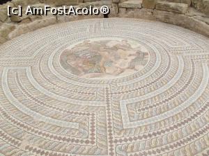 [P52] Superb mozaic roman de la Pafos, Casa lui Tezeu » foto by irinad
 - 
<span class="allrVoted glyphicon glyphicon-heart hidden" id="av749902"></span>
<a class="m-l-10 hidden" id="sv749902" onclick="voting_Foto_DelVot(,749902,8732)" role="button">șterge vot <span class="glyphicon glyphicon-remove"></span></a>
<a id="v9749902" class=" c-red"  onclick="voting_Foto_SetVot(749902)" role="button"><span class="glyphicon glyphicon-heart-empty"></span> <b>LIKE</b> = Votează poza</a> <img class="hidden"  id="f749902W9" src="/imagini/loader.gif" border="0" /><span class="AjErrMes hidden" id="e749902ErM"></span>