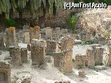 [P14] Sanctuarul Tophet, in apropierea porturilor punice » foto by adelaela
 - 
<span class="allrVoted glyphicon glyphicon-heart hidden" id="av216075"></span>
<a class="m-l-10 hidden" id="sv216075" onclick="voting_Foto_DelVot(,216075,8759)" role="button">șterge vot <span class="glyphicon glyphicon-remove"></span></a>
<a id="v9216075" class=" c-red"  onclick="voting_Foto_SetVot(216075)" role="button"><span class="glyphicon glyphicon-heart-empty"></span> <b>LIKE</b> = Votează poza</a> <img class="hidden"  id="f216075W9" src="/imagini/loader.gif" border="0" /><span class="AjErrMes hidden" id="e216075ErM"></span>