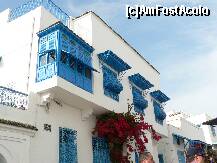 [P07] celebra tamplarie albastra din Sidi Bou Saïd » foto by adelaela
 - 
<span class="allrVoted glyphicon glyphicon-heart hidden" id="av216021"></span>
<a class="m-l-10 hidden" id="sv216021" onclick="voting_Foto_DelVot(,216021,8759)" role="button">șterge vot <span class="glyphicon glyphicon-remove"></span></a>
<a id="v9216021" class=" c-red"  onclick="voting_Foto_SetVot(216021)" role="button"><span class="glyphicon glyphicon-heart-empty"></span> <b>LIKE</b> = Votează poza</a> <img class="hidden"  id="f216021W9" src="/imagini/loader.gif" border="0" /><span class="AjErrMes hidden" id="e216021ErM"></span>