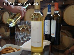 [P14] Vinul meu favorit Alcubissimo de pe Valea Alcube --are productie limitată, note florale si arome de miere și caramel... trebuie rezervare pt comandă.  » foto by mireille
 - 
<span class="allrVoted glyphicon glyphicon-heart hidden" id="av925781"></span>
<a class="m-l-10 hidden" id="sv925781" onclick="voting_Foto_DelVot(,925781,8769)" role="button">șterge vot <span class="glyphicon glyphicon-remove"></span></a>
<a id="v9925781" class=" c-red"  onclick="voting_Foto_SetVot(925781)" role="button"><span class="glyphicon glyphicon-heart-empty"></span> <b>LIKE</b> = Votează poza</a> <img class="hidden"  id="f925781W9" src="/imagini/loader.gif" border="0" /><span class="AjErrMes hidden" id="e925781ErM"></span>