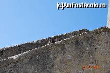 [P07] Castelul Palmela - culoarul de trepte inalte din piatra ce duc spre turn » foto by deliutza27
 - 
<span class="allrVoted glyphicon glyphicon-heart hidden" id="av194749"></span>
<a class="m-l-10 hidden" id="sv194749" onclick="voting_Foto_DelVot(,194749,8769)" role="button">șterge vot <span class="glyphicon glyphicon-remove"></span></a>
<a id="v9194749" class=" c-red"  onclick="voting_Foto_SetVot(194749)" role="button"><span class="glyphicon glyphicon-heart-empty"></span> <b>LIKE</b> = Votează poza</a> <img class="hidden"  id="f194749W9" src="/imagini/loader.gif" border="0" /><span class="AjErrMes hidden" id="e194749ErM"></span>