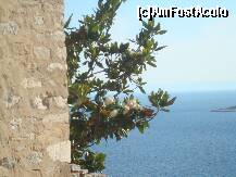 [P22] Cata puritate si caldura! » foto by teona
 - 
<span class="allrVoted glyphicon glyphicon-heart hidden" id="av194860"></span>
<a class="m-l-10 hidden" id="sv194860" onclick="voting_Foto_DelVot(,194860,8770)" role="button">șterge vot <span class="glyphicon glyphicon-remove"></span></a>
<a id="v9194860" class=" c-red"  onclick="voting_Foto_SetVot(194860)" role="button"><span class="glyphicon glyphicon-heart-empty"></span> <b>LIKE</b> = Votează poza</a> <img class="hidden"  id="f194860W9" src="/imagini/loader.gif" border="0" /><span class="AjErrMes hidden" id="e194860ErM"></span>
