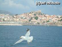 [P26] Si iata-ne intorsi in Kavala, care arata minunat in zare. » foto by teona
 - 
<span class="allrVoted glyphicon glyphicon-heart hidden" id="av194869"></span>
<a class="m-l-10 hidden" id="sv194869" onclick="voting_Foto_DelVot(,194869,8770)" role="button">șterge vot <span class="glyphicon glyphicon-remove"></span></a>
<a id="v9194869" class=" c-red"  onclick="voting_Foto_SetVot(194869)" role="button"><span class="glyphicon glyphicon-heart-empty"></span> <b>LIKE</b> = Votează poza</a> <img class="hidden"  id="f194869W9" src="/imagini/loader.gif" border="0" /><span class="AjErrMes hidden" id="e194869ErM"></span>