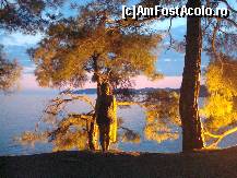 [P18] La cativa pasi de terasa hotelului Thassos, seara.  » foto by penelopa
 - 
<span class="allrVoted glyphicon glyphicon-heart hidden" id="av483935"></span>
<a class="m-l-10 hidden" id="sv483935" onclick="voting_Foto_DelVot(,483935,8770)" role="button">șterge vot <span class="glyphicon glyphicon-remove"></span></a>
<a id="v9483935" class=" c-red"  onclick="voting_Foto_SetVot(483935)" role="button"><span class="glyphicon glyphicon-heart-empty"></span> <b>LIKE</b> = Votează poza</a> <img class="hidden"  id="f483935W9" src="/imagini/loader.gif" border="0" /><span class="AjErrMes hidden" id="e483935ErM"></span>