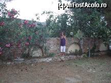 [P02] Curtea din spate a Hotelului Thassos. Am in stanga un par (cu pere) si in dreapta un leandru.  » foto by penelopa
 - 
<span class="allrVoted glyphicon glyphicon-heart hidden" id="av483903"></span>
<a class="m-l-10 hidden" id="sv483903" onclick="voting_Foto_DelVot(,483903,8770)" role="button">șterge vot <span class="glyphicon glyphicon-remove"></span></a>
<a id="v9483903" class=" c-red"  onclick="voting_Foto_SetVot(483903)" role="button"><span class="glyphicon glyphicon-heart-empty"></span> <b>LIKE</b> = Votează poza</a> <img class="hidden"  id="f483903W9" src="/imagini/loader.gif" border="0" /><span class="AjErrMes hidden" id="e483903ErM"></span>