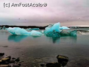 [P10] Tot Laguna Jokulsarlon - speechless tourist ! » foto by le_maitre
 - 
<span class="allrVoted glyphicon glyphicon-heart hidden" id="av1204977"></span>
<a class="m-l-10 hidden" id="sv1204977" onclick="voting_Foto_DelVot(,1204977,8786)" role="button">șterge vot <span class="glyphicon glyphicon-remove"></span></a>
<a id="v91204977" class=" c-red"  onclick="voting_Foto_SetVot(1204977)" role="button"><span class="glyphicon glyphicon-heart-empty"></span> <b>LIKE</b> = Votează poza</a> <img class="hidden"  id="f1204977W9" src="/imagini/loader.gif" border="0" /><span class="AjErrMes hidden" id="e1204977ErM"></span>