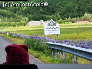 [P23] Ajungem la urmatoarea cascada, SkogafossIn dreapta drumului este muzeul » foto by DOINITA
 - 
<span class="allrVoted glyphicon glyphicon-heart hidden" id="av1350950"></span>
<a class="m-l-10 hidden" id="sv1350950" onclick="voting_Foto_DelVot(,1350950,8786)" role="button">șterge vot <span class="glyphicon glyphicon-remove"></span></a>
<a id="v91350950" class=" c-red"  onclick="voting_Foto_SetVot(1350950)" role="button"><span class="glyphicon glyphicon-heart-empty"></span> <b>LIKE</b> = Votează poza</a> <img class="hidden"  id="f1350950W9" src="/imagini/loader.gif" border="0" /><span class="AjErrMes hidden" id="e1350950ErM"></span>