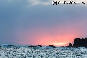 [P22] apus de soare peste ocean (foto Stefan Chiripuci)  » foto by buterfly*
 - 
<span class="allrVoted glyphicon glyphicon-heart hidden" id="av575354"></span>
<a class="m-l-10 hidden" id="sv575354" onclick="voting_Foto_DelVot(,575354,8786)" role="button">șterge vot <span class="glyphicon glyphicon-remove"></span></a>
<a id="v9575354" class=" c-red"  onclick="voting_Foto_SetVot(575354)" role="button"><span class="glyphicon glyphicon-heart-empty"></span> <b>LIKE</b> = Votează poza</a> <img class="hidden"  id="f575354W9" src="/imagini/loader.gif" border="0" /><span class="AjErrMes hidden" id="e575354ErM"></span>