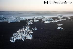 [P23] diamante pe plaja neagra (foto Stefan Chiripuci)  » foto by buterfly*
 - 
<span class="allrVoted glyphicon glyphicon-heart hidden" id="av575355"></span>
<a class="m-l-10 hidden" id="sv575355" onclick="voting_Foto_DelVot(,575355,8786)" role="button">șterge vot <span class="glyphicon glyphicon-remove"></span></a>
<a id="v9575355" class=" c-red"  onclick="voting_Foto_SetVot(575355)" role="button"><span class="glyphicon glyphicon-heart-empty"></span> <b>LIKE</b> = Votează poza</a> <img class="hidden"  id="f575355W9" src="/imagini/loader.gif" border="0" /><span class="AjErrMes hidden" id="e575355ErM"></span>