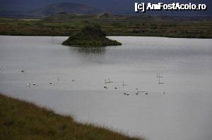 [P10] Myvatn, lacul imbelsugat » foto by Millana
 - 
<span class="allrVoted glyphicon glyphicon-heart hidden" id="av689882"></span>
<a class="m-l-10 hidden" id="sv689882" onclick="voting_Foto_DelVot(,689882,8786)" role="button">șterge vot <span class="glyphicon glyphicon-remove"></span></a>
<a id="v9689882" class=" c-red"  onclick="voting_Foto_SetVot(689882)" role="button"><span class="glyphicon glyphicon-heart-empty"></span> <b>LIKE</b> = Votează poza</a> <img class="hidden"  id="f689882W9" src="/imagini/loader.gif" border="0" /><span class="AjErrMes hidden" id="e689882ErM"></span>
