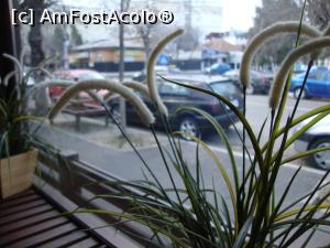 [P10] Din când în când am aruncat câte o privire pe fereastră, către mașina noastră parcată în apropiere.  » foto by Floryn81
 - 
<span class="allrVoted glyphicon glyphicon-heart hidden" id="av818712"></span>
<a class="m-l-10 hidden" id="sv818712" onclick="voting_Foto_DelVot(,818712,8790)" role="button">șterge vot <span class="glyphicon glyphicon-remove"></span></a>
<a id="v9818712" class=" c-red"  onclick="voting_Foto_SetVot(818712)" role="button"><span class="glyphicon glyphicon-heart-empty"></span> <b>LIKE</b> = Votează poza</a> <img class="hidden"  id="f818712W9" src="/imagini/loader.gif" border="0" /><span class="AjErrMes hidden" id="e818712ErM"></span>