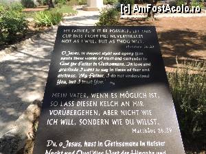 [P16] Aici s-a rugat Iisus » foto by bogdanfifa
 - 
<span class="allrVoted glyphicon glyphicon-heart hidden" id="av387238"></span>
<a class="m-l-10 hidden" id="sv387238" onclick="voting_Foto_DelVot(,387238,8792)" role="button">șterge vot <span class="glyphicon glyphicon-remove"></span></a>
<a id="v9387238" class=" c-red"  onclick="voting_Foto_SetVot(387238)" role="button"><span class="glyphicon glyphicon-heart-empty"></span> <b>LIKE</b> = Votează poza</a> <img class="hidden"  id="f387238W9" src="/imagini/loader.gif" border="0" /><span class="AjErrMes hidden" id="e387238ErM"></span>