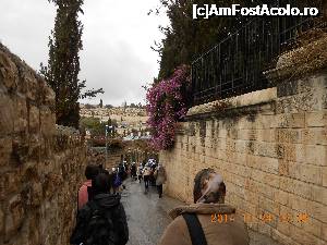 [P02] La 10 pasi de... Biserica Dominus Flevit » foto by pelerin12345
 - 
<span class="allrVoted glyphicon glyphicon-heart hidden" id="av697929"></span>
<a class="m-l-10 hidden" id="sv697929" onclick="voting_Foto_DelVot(,697929,8792)" role="button">șterge vot <span class="glyphicon glyphicon-remove"></span></a>
<a id="v9697929" class=" c-red"  onclick="voting_Foto_SetVot(697929)" role="button"><span class="glyphicon glyphicon-heart-empty"></span> <b>LIKE</b> = Votează poza</a> <img class="hidden"  id="f697929W9" src="/imagini/loader.gif" border="0" /><span class="AjErrMes hidden" id="e697929ErM"></span>