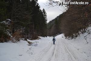 [P13] La jumatatea distantei dintre pensiune si castelul Bran se afla stada Lucian Bologa asfaltata pana la partia de schi Bran Zanoaga (4-5Km). Mai departe drumul este prin padure.  » foto by arca
 - 
<span class="allrVoted glyphicon glyphicon-heart hidden" id="av403983"></span>
<a class="m-l-10 hidden" id="sv403983" onclick="voting_Foto_DelVot(,403983,8793)" role="button">șterge vot <span class="glyphicon glyphicon-remove"></span></a>
<a id="v9403983" class=" c-red"  onclick="voting_Foto_SetVot(403983)" role="button"><span class="glyphicon glyphicon-heart-empty"></span> <b>LIKE</b> = Votează poza</a> <img class="hidden"  id="f403983W9" src="/imagini/loader.gif" border="0" /><span class="AjErrMes hidden" id="e403983ErM"></span>