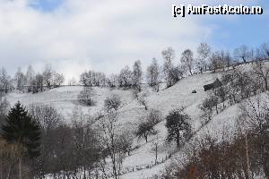 [P15] De o parte si alta a drumului Bran-Zanoaga mirifice poeni inzapezite.  » foto by arca
 - 
<span class="allrVoted glyphicon glyphicon-heart hidden" id="av403985"></span>
<a class="m-l-10 hidden" id="sv403985" onclick="voting_Foto_DelVot(,403985,8793)" role="button">șterge vot <span class="glyphicon glyphicon-remove"></span></a>
<a id="v9403985" class=" c-red"  onclick="voting_Foto_SetVot(403985)" role="button"><span class="glyphicon glyphicon-heart-empty"></span> <b>LIKE</b> = Votează poza</a> <img class="hidden"  id="f403985W9" src="/imagini/loader.gif" border="0" /><span class="AjErrMes hidden" id="e403985ErM"></span>
