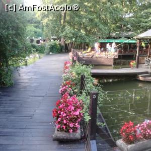 [P03]  -- <small>// FĂRĂ DESCRIERE</small> » foto by iulian68
 - 
<span class="allrVoted glyphicon glyphicon-heart hidden" id="av996843"></span>
<a class="m-l-10 hidden" id="sv996843" onclick="voting_Foto_DelVot(,996843,8804)" role="button">șterge vot <span class="glyphicon glyphicon-remove"></span></a>
<a id="v9996843" class=" c-red"  onclick="voting_Foto_SetVot(996843)" role="button"><span class="glyphicon glyphicon-heart-empty"></span> <b>LIKE</b> = Votează poza</a> <img class="hidden"  id="f996843W9" src="/imagini/loader.gif" border="0" /><span class="AjErrMes hidden" id="e996843ErM"></span>