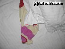 [P03]  -- <small>// FĂRĂ DESCRIERE</small> » foto by MihaiAndrei
 - 
<span class="allrVoted glyphicon glyphicon-heart hidden" id="av282249"></span>
<a class="m-l-10 hidden" id="sv282249" onclick="voting_Foto_DelVot(,282249,8820)" role="button">șterge vot <span class="glyphicon glyphicon-remove"></span></a>
<a id="v9282249" class=" c-red"  onclick="voting_Foto_SetVot(282249)" role="button"><span class="glyphicon glyphicon-heart-empty"></span> <b>LIKE</b> = Votează poza</a> <img class="hidden"  id="f282249W9" src="/imagini/loader.gif" border="0" /><span class="AjErrMes hidden" id="e282249ErM"></span>