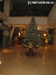 [P09] Hotel Ramada Brasov -din nou bradul de craciun, iar in spatele lui receptia hotelului, in stanga usa de la intrare, iar in dreapta cele 2 lifturi. » foto by viviv
 - 
<span class="allrVoted glyphicon glyphicon-heart hidden" id="av196389"></span>
<a class="m-l-10 hidden" id="sv196389" onclick="voting_Foto_DelVot(,196389,8823)" role="button">șterge vot <span class="glyphicon glyphicon-remove"></span></a>
<a id="v9196389" class=" c-red"  onclick="voting_Foto_SetVot(196389)" role="button"><span class="glyphicon glyphicon-heart-empty"></span> <b>LIKE</b> = Votează poza</a> <img class="hidden"  id="f196389W9" src="/imagini/loader.gif" border="0" /><span class="AjErrMes hidden" id="e196389ErM"></span>