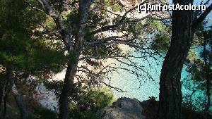 [P07] Jagodna - una dintre minunatiile insulei Hvar.  » foto by nakamura
 - 
<span class="allrVoted glyphicon glyphicon-heart hidden" id="av647031"></span>
<a class="m-l-10 hidden" id="sv647031" onclick="voting_Foto_DelVot(,647031,8824)" role="button">șterge vot <span class="glyphicon glyphicon-remove"></span></a>
<a id="v9647031" class=" c-red"  onclick="voting_Foto_SetVot(647031)" role="button"><span class="glyphicon glyphicon-heart-empty"></span> <b>LIKE</b> = Votează poza</a> <img class="hidden"  id="f647031W9" src="/imagini/loader.gif" border="0" /><span class="AjErrMes hidden" id="e647031ErM"></span>
