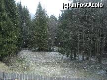 [P11]  -- <small>// FĂRĂ DESCRIERE</small> » foto by aaaaa
 - 
<span class="allrVoted glyphicon glyphicon-heart hidden" id="av196920"></span>
<a class="m-l-10 hidden" id="sv196920" onclick="voting_Foto_DelVot(,196920,8828)" role="button">șterge vot <span class="glyphicon glyphicon-remove"></span></a>
<a id="v9196920" class=" c-red"  onclick="voting_Foto_SetVot(196920)" role="button"><span class="glyphicon glyphicon-heart-empty"></span> <b>LIKE</b> = Votează poza</a> <img class="hidden"  id="f196920W9" src="/imagini/loader.gif" border="0" /><span class="AjErrMes hidden" id="e196920ErM"></span>