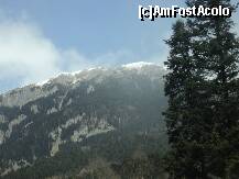 [P19]  -- <small>// FĂRĂ DESCRIERE</small> » foto by aaaaa
 - 
<span class="allrVoted glyphicon glyphicon-heart hidden" id="av196944"></span>
<a class="m-l-10 hidden" id="sv196944" onclick="voting_Foto_DelVot(,196944,8828)" role="button">șterge vot <span class="glyphicon glyphicon-remove"></span></a>
<a id="v9196944" class=" c-red"  onclick="voting_Foto_SetVot(196944)" role="button"><span class="glyphicon glyphicon-heart-empty"></span> <b>LIKE</b> = Votează poza</a> <img class="hidden"  id="f196944W9" src="/imagini/loader.gif" border="0" /><span class="AjErrMes hidden" id="e196944ErM"></span>