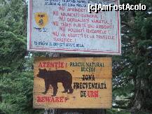 [P07]  -- <small>// FĂRĂ DESCRIERE</small> » foto by aaaaa
 - 
<span class="allrVoted glyphicon glyphicon-heart hidden" id="av196910"></span>
<a class="m-l-10 hidden" id="sv196910" onclick="voting_Foto_DelVot(,196910,8828)" role="button">șterge vot <span class="glyphicon glyphicon-remove"></span></a>
<a id="v9196910" class=" c-red"  onclick="voting_Foto_SetVot(196910)" role="button"><span class="glyphicon glyphicon-heart-empty"></span> <b>LIKE</b> = Votează poza</a> <img class="hidden"  id="f196910W9" src="/imagini/loader.gif" border="0" /><span class="AjErrMes hidden" id="e196910ErM"></span>