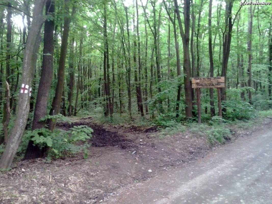 [P01] Cu bicicleta prin Rezervația naturală Comana - drumul neasfaltat din pădure » foto by Dragoș_MD
 - 
<span class="allrVoted glyphicon glyphicon-heart hidden" id="av506168"></span>
<a class="m-l-10 hidden" id="sv506168" onclick="voting_Foto_DelVot(,506168,8832)" role="button">șterge vot <span class="glyphicon glyphicon-remove"></span></a>
<a id="v9506168" class=" c-red"  onclick="voting_Foto_SetVot(506168)" role="button"><span class="glyphicon glyphicon-heart-empty"></span> <b>LIKE</b> = Votează poza</a> <img class="hidden"  id="f506168W9" src="/imagini/loader.gif" border="0" /><span class="AjErrMes hidden" id="e506168ErM"></span>