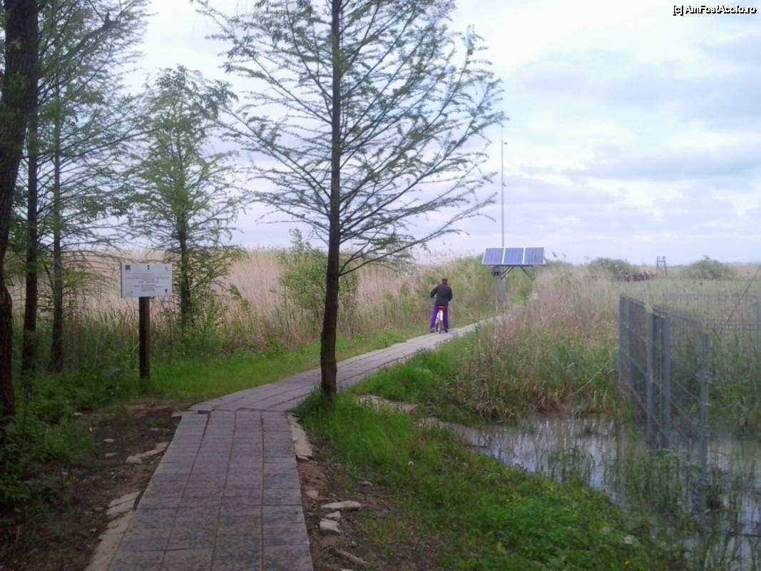 [P11] Cu bicicleta prin Rezervația naturală Comana - cărarea spre cel de-al doilea foișor de observare » foto by Dragoș_MD
 - 
<span class="allrVoted glyphicon glyphicon-heart hidden" id="av506178"></span>
<a class="m-l-10 hidden" id="sv506178" onclick="voting_Foto_DelVot(,506178,8832)" role="button">șterge vot <span class="glyphicon glyphicon-remove"></span></a>
<a id="v9506178" class=" c-red"  onclick="voting_Foto_SetVot(506178)" role="button"><span class="glyphicon glyphicon-heart-empty"></span> <b>LIKE</b> = Votează poza</a> <img class="hidden"  id="f506178W9" src="/imagini/loader.gif" border="0" /><span class="AjErrMes hidden" id="e506178ErM"></span>