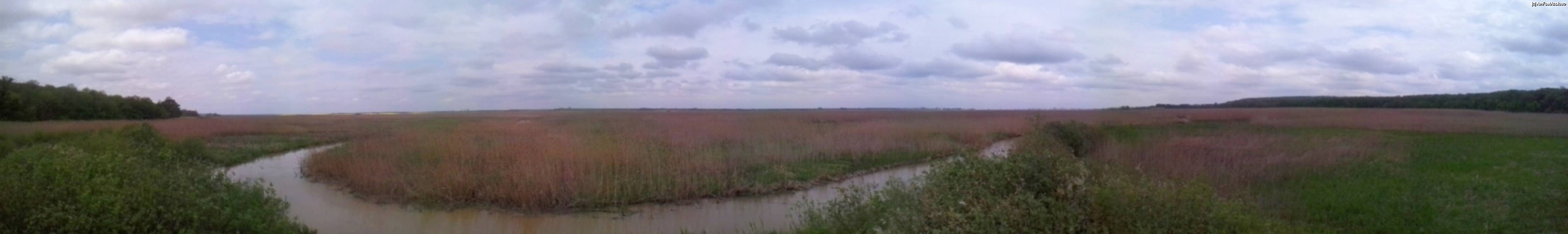 [P14] Cu bicicleta prin Rezervația naturală Comana - panoramă din foișorul de observare asupra „deltei Neajlovului” » foto by Dragoș_MD
 - 
<span class="allrVoted glyphicon glyphicon-heart hidden" id="av506181"></span>
<a class="m-l-10 hidden" id="sv506181" onclick="voting_Foto_DelVot(,506181,8832)" role="button">șterge vot <span class="glyphicon glyphicon-remove"></span></a>
<a id="v9506181" class=" c-red"  onclick="voting_Foto_SetVot(506181)" role="button"><span class="glyphicon glyphicon-heart-empty"></span> <b>LIKE</b> = Votează poza</a> <img class="hidden"  id="f506181W9" src="/imagini/loader.gif" border="0" /><span class="AjErrMes hidden" id="e506181ErM"></span>