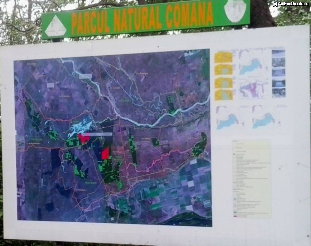 [P15] Cu bicicleta prin Rezervația naturală Comana - marea șmecherie de ”hartă” afișată acolo: de fapt, o captură nereușită de pe google maps. :( » foto by Dragoș_MD
 - 
<span class="allrVoted glyphicon glyphicon-heart hidden" id="av506182"></span>
<a class="m-l-10 hidden" id="sv506182" onclick="voting_Foto_DelVot(,506182,8832)" role="button">șterge vot <span class="glyphicon glyphicon-remove"></span></a>
<a id="v9506182" class=" c-red"  onclick="voting_Foto_SetVot(506182)" role="button"><span class="glyphicon glyphicon-heart-empty"></span> <b>LIKE</b> = Votează poza</a> <img class="hidden"  id="f506182W9" src="/imagini/loader.gif" border="0" /><span class="AjErrMes hidden" id="e506182ErM"></span>