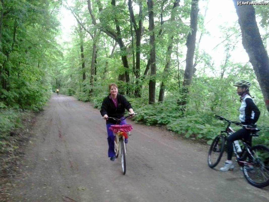 [P16] Cu bicicleta prin Rezervația naturală Comana - hai să ne și întoarcem acasă:( » foto by Dragoș_MD
 - 
<span class="allrVoted glyphicon glyphicon-heart hidden" id="av506183"></span>
<a class="m-l-10 hidden" id="sv506183" onclick="voting_Foto_DelVot(,506183,8832)" role="button">șterge vot <span class="glyphicon glyphicon-remove"></span></a>
<a id="v9506183" class=" c-red"  onclick="voting_Foto_SetVot(506183)" role="button"><span class="glyphicon glyphicon-heart-empty"></span> <b>LIKE</b> = Votează poza</a> <img class="hidden"  id="f506183W9" src="/imagini/loader.gif" border="0" /><span class="AjErrMes hidden" id="e506183ErM"></span>