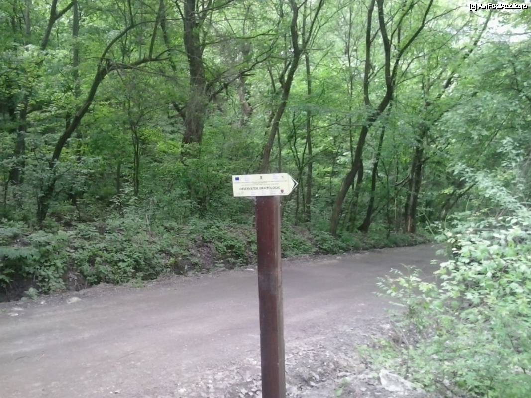 [P09] Cu bicicleta prin Rezervația naturală Comana - spre poteca și punctul de observație ornitologică » foto by Dragoș_MD
 - 
<span class="allrVoted glyphicon glyphicon-heart hidden" id="av506176"></span>
<a class="m-l-10 hidden" id="sv506176" onclick="voting_Foto_DelVot(,506176,8832)" role="button">șterge vot <span class="glyphicon glyphicon-remove"></span></a>
<a id="v9506176" class=" c-red"  onclick="voting_Foto_SetVot(506176)" role="button"><span class="glyphicon glyphicon-heart-empty"></span> <b>LIKE</b> = Votează poza</a> <img class="hidden"  id="f506176W9" src="/imagini/loader.gif" border="0" /><span class="AjErrMes hidden" id="e506176ErM"></span>