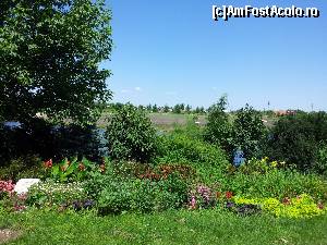 [P08] Gradina de flori si de mirodenii » foto by FrancescaClara
 - 
<span class="allrVoted glyphicon glyphicon-heart hidden" id="av551899"></span>
<a class="m-l-10 hidden" id="sv551899" onclick="voting_Foto_DelVot(,551899,8832)" role="button">șterge vot <span class="glyphicon glyphicon-remove"></span></a>
<a id="v9551899" class=" c-red"  onclick="voting_Foto_SetVot(551899)" role="button"><span class="glyphicon glyphicon-heart-empty"></span> <b>LIKE</b> = Votează poza</a> <img class="hidden"  id="f551899W9" src="/imagini/loader.gif" border="0" /><span class="AjErrMes hidden" id="e551899ErM"></span>
