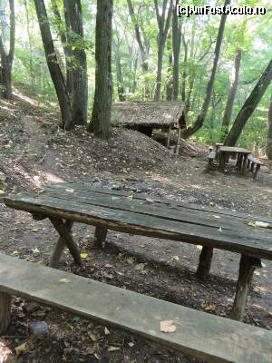 [P17] Locuri pentru picnic - Comana.  » foto by tata123 🔱
 - 
<span class="allrVoted glyphicon glyphicon-heart hidden" id="av670792"></span>
<a class="m-l-10 hidden" id="sv670792" onclick="voting_Foto_DelVot(,670792,8832)" role="button">șterge vot <span class="glyphicon glyphicon-remove"></span></a>
<a id="v9670792" class=" c-red"  onclick="voting_Foto_SetVot(670792)" role="button"><span class="glyphicon glyphicon-heart-empty"></span> <b>LIKE</b> = Votează poza</a> <img class="hidden"  id="f670792W9" src="/imagini/loader.gif" border="0" /><span class="AjErrMes hidden" id="e670792ErM"></span>