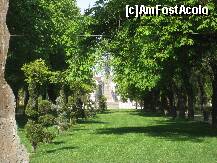[P05] Oradea - verde,verde,verde... » foto by giglia
 - 
<span class="allrVoted glyphicon glyphicon-heart hidden" id="av196989"></span>
<a class="m-l-10 hidden" id="sv196989" onclick="voting_Foto_DelVot(,196989,8839)" role="button">șterge vot <span class="glyphicon glyphicon-remove"></span></a>
<a id="v9196989" class=" c-red"  onclick="voting_Foto_SetVot(196989)" role="button"><span class="glyphicon glyphicon-heart-empty"></span> <b>LIKE</b> = Votează poza</a> <img class="hidden"  id="f196989W9" src="/imagini/loader.gif" border="0" /><span class="AjErrMes hidden" id="e196989ErM"></span>