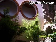[P05]  -- <small>// FĂRĂ DESCRIERE</small> » foto by ireedeejay
 - 
<span class="allrVoted glyphicon glyphicon-heart hidden" id="av197366"></span>
<a class="m-l-10 hidden" id="sv197366" onclick="voting_Foto_DelVot(,197366,8848)" role="button">șterge vot <span class="glyphicon glyphicon-remove"></span></a>
<a id="v9197366" class=" c-red"  onclick="voting_Foto_SetVot(197366)" role="button"><span class="glyphicon glyphicon-heart-empty"></span> <b>LIKE</b> = Votează poza</a> <img class="hidden"  id="f197366W9" src="/imagini/loader.gif" border="0" /><span class="AjErrMes hidden" id="e197366ErM"></span>