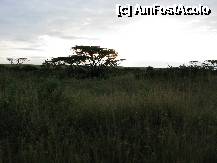 [P23]  -- <small>// FĂRĂ DESCRIERE</small> » foto by ireedeejay
 - 
<span class="allrVoted glyphicon glyphicon-heart hidden" id="av198190"></span>
<a class="m-l-10 hidden" id="sv198190" onclick="voting_Foto_DelVot(,198190,8848)" role="button">șterge vot <span class="glyphicon glyphicon-remove"></span></a>
<a id="v9198190" class=" c-red"  onclick="voting_Foto_SetVot(198190)" role="button"><span class="glyphicon glyphicon-heart-empty"></span> <b>LIKE</b> = Votează poza</a> <img class="hidden"  id="f198190W9" src="/imagini/loader.gif" border="0" /><span class="AjErrMes hidden" id="e198190ErM"></span>