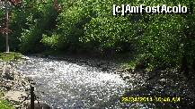 [P49]  -- <small>// FĂRĂ DESCRIERE</small> » foto by adryana
 - 
<span class="allrVoted glyphicon glyphicon-heart hidden" id="av199162"></span>
<a class="m-l-10 hidden" id="sv199162" onclick="voting_Foto_DelVot(,199162,8881)" role="button">șterge vot <span class="glyphicon glyphicon-remove"></span></a>
<a id="v9199162" class=" c-red"  onclick="voting_Foto_SetVot(199162)" role="button"><span class="glyphicon glyphicon-heart-empty"></span> <b>LIKE</b> = Votează poza</a> <img class="hidden"  id="f199162W9" src="/imagini/loader.gif" border="0" /><span class="AjErrMes hidden" id="e199162ErM"></span>