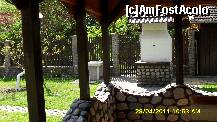 [P52] ce frumos se asorteaza piatra » foto by adryana
 - 
<span class="allrVoted glyphicon glyphicon-heart hidden" id="av199166"></span>
<a class="m-l-10 hidden" id="sv199166" onclick="voting_Foto_DelVot(,199166,8881)" role="button">șterge vot <span class="glyphicon glyphicon-remove"></span></a>
<a id="v9199166" class=" c-red"  onclick="voting_Foto_SetVot(199166)" role="button"><span class="glyphicon glyphicon-heart-empty"></span> <b>LIKE</b> = Votează poza</a> <img class="hidden"  id="f199166W9" src="/imagini/loader.gif" border="0" /><span class="AjErrMes hidden" id="e199166ErM"></span>