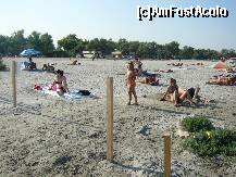 [P17] in plan indepartat liziera de verdeata intre plaja si camping Lebada. foarte aproape » foto by moldovan*
 - 
<span class="allrVoted glyphicon glyphicon-heart hidden" id="av199726"></span>
<a class="m-l-10 hidden" id="sv199726" onclick="voting_Foto_DelVot(,199726,8901)" role="button">șterge vot <span class="glyphicon glyphicon-remove"></span></a>
<a id="v9199726" class=" c-red"  onclick="voting_Foto_SetVot(199726)" role="button"><span class="glyphicon glyphicon-heart-empty"></span> <b>LIKE</b> = Votează poza</a> <img class="hidden"  id="f199726W9" src="/imagini/loader.gif" border="0" /><span class="AjErrMes hidden" id="e199726ErM"></span>