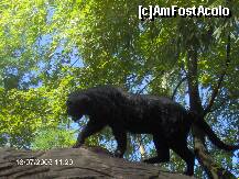 [P26] Gardaland » foto by mirmicu
 - 
<span class="allrVoted glyphicon glyphicon-heart hidden" id="av184909"></span>
<a class="m-l-10 hidden" id="sv184909" onclick="voting_Foto_DelVot(,184909,8903)" role="button">șterge vot <span class="glyphicon glyphicon-remove"></span></a>
<a id="v9184909" class=" c-red"  onclick="voting_Foto_SetVot(184909)" role="button"><span class="glyphicon glyphicon-heart-empty"></span> <b>LIKE</b> = Votează poza</a> <img class="hidden"  id="f184909W9" src="/imagini/loader.gif" border="0" /><span class="AjErrMes hidden" id="e184909ErM"></span>