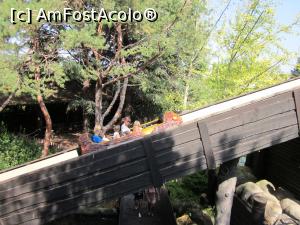 [P08] Colorado Boat » foto by ariciu*
 - 
<span class="allrVoted glyphicon glyphicon-heart hidden" id="av825319"></span>
<a class="m-l-10 hidden" id="sv825319" onclick="voting_Foto_DelVot(,825319,8903)" role="button">șterge vot <span class="glyphicon glyphicon-remove"></span></a>
<a id="v9825319" class=" c-red"  onclick="voting_Foto_SetVot(825319)" role="button"><span class="glyphicon glyphicon-heart-empty"></span> <b>LIKE</b> = Votează poza</a> <img class="hidden"  id="f825319W9" src="/imagini/loader.gif" border="0" /><span class="AjErrMes hidden" id="e825319ErM"></span>