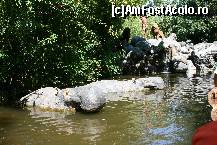 [P16] In asteptarea prazii. » foto by santana*
 - 
<span class="allrVoted glyphicon glyphicon-heart hidden" id="av156720"></span>
<a class="m-l-10 hidden" id="sv156720" onclick="voting_Foto_DelVot(,156720,8903)" role="button">șterge vot <span class="glyphicon glyphicon-remove"></span></a>
<a id="v9156720" class=" c-red"  onclick="voting_Foto_SetVot(156720)" role="button"><span class="glyphicon glyphicon-heart-empty"></span> <b>LIKE</b> = Votează poza</a> <img class="hidden"  id="f156720W9" src="/imagini/loader.gif" border="0" /><span class="AjErrMes hidden" id="e156720ErM"></span>